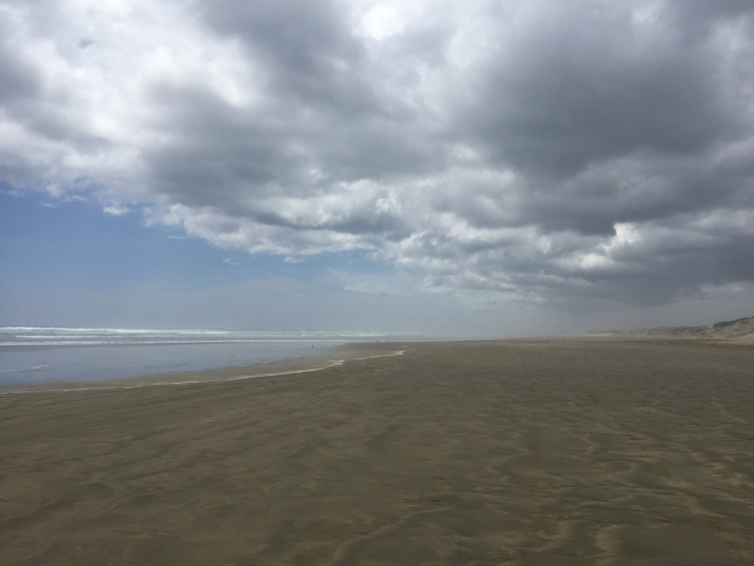 Ninety Mile beach, North Island, New Zealand
