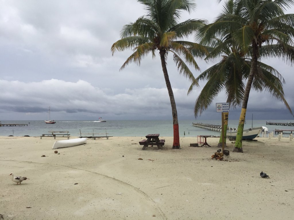 How I project managed my way out of the&nbsp;office