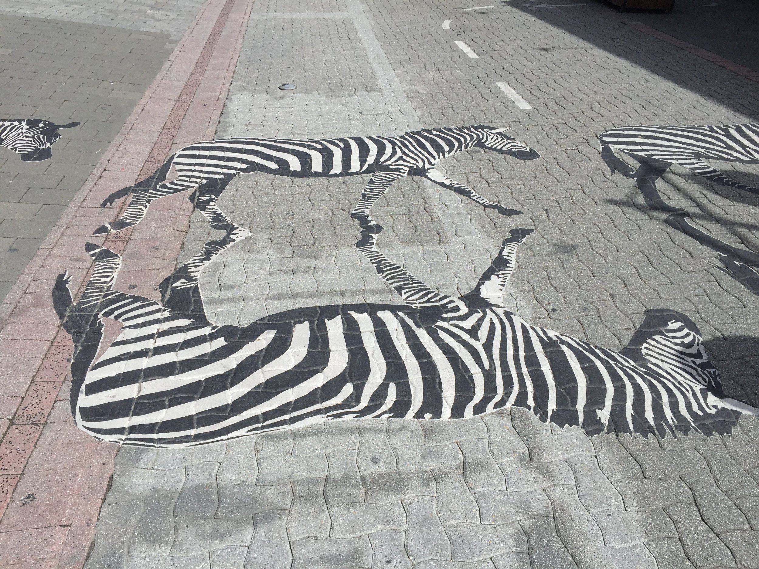 What do zebras have to do with project management?