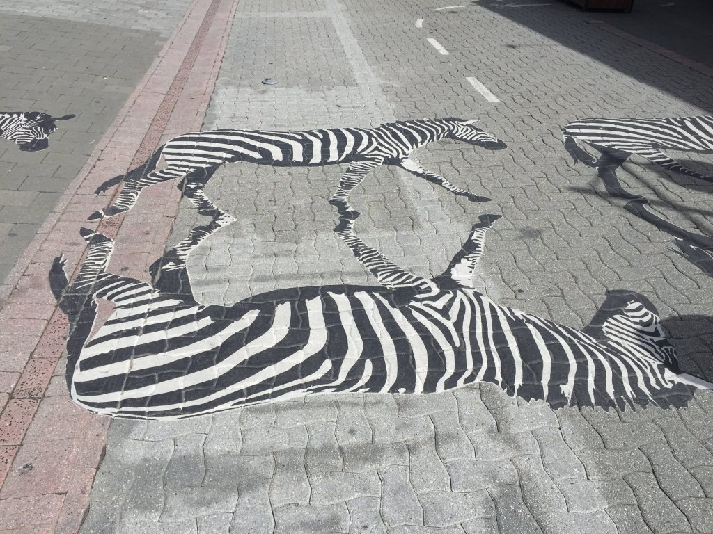 What do zebras have to do with project&nbsp;management?